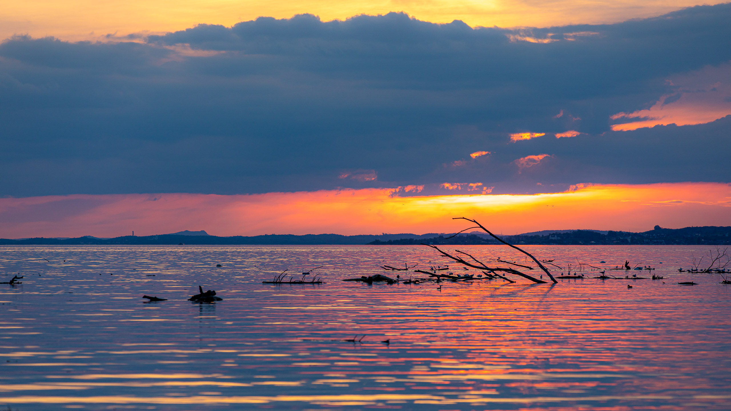 20230506202558 RD4 3931